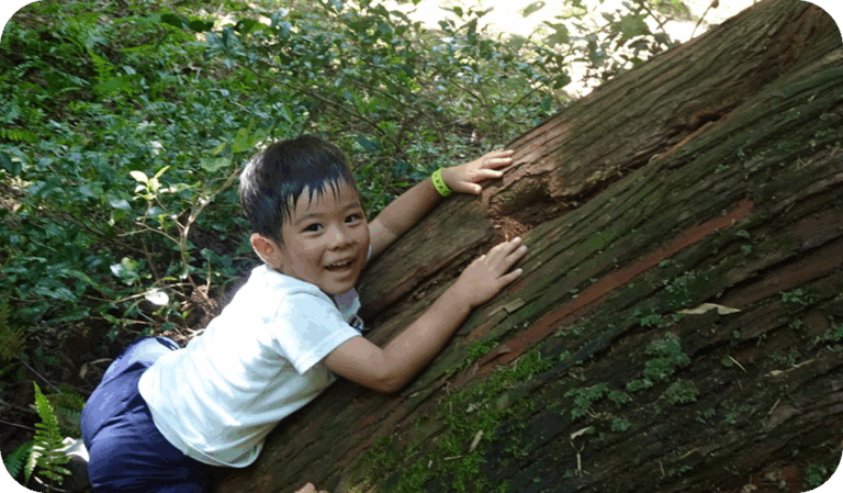 【幼児対象】チャレンジコース～1人でチャレンジ！～
